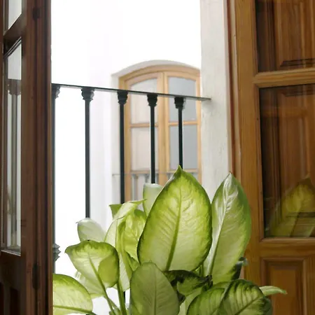 Casa Palacio La Sal 2*