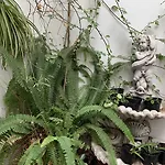 Hotel La Chiquita Hotel