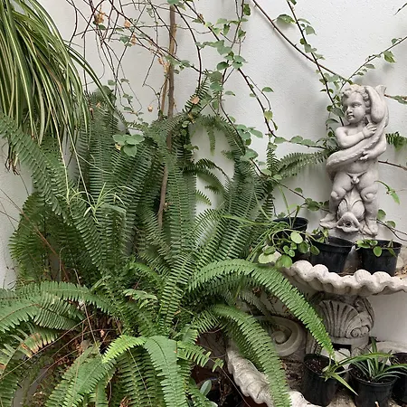 Casa Palacio La Sal מלון