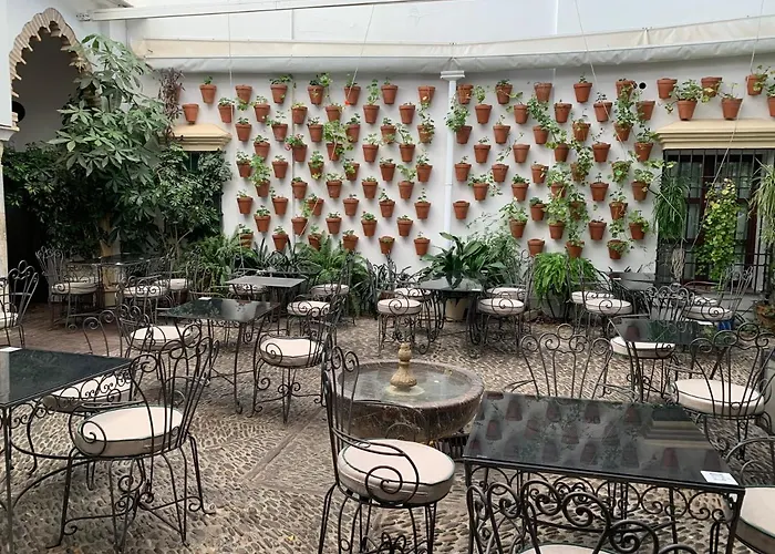 Готель Hotel La Chiquita