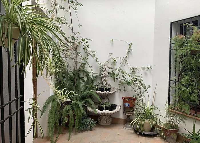 Casa Palacio La Sal קורדובה