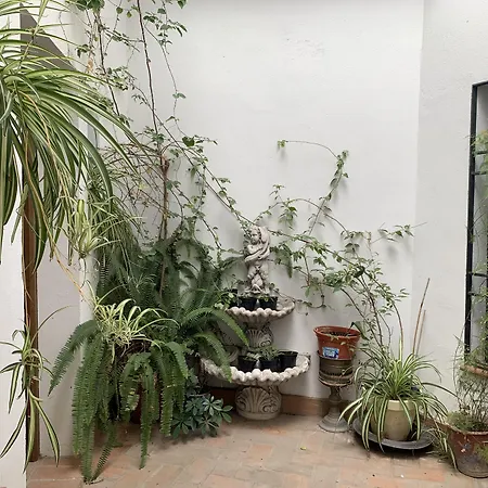 Casa Palacio La Sal Cordoba