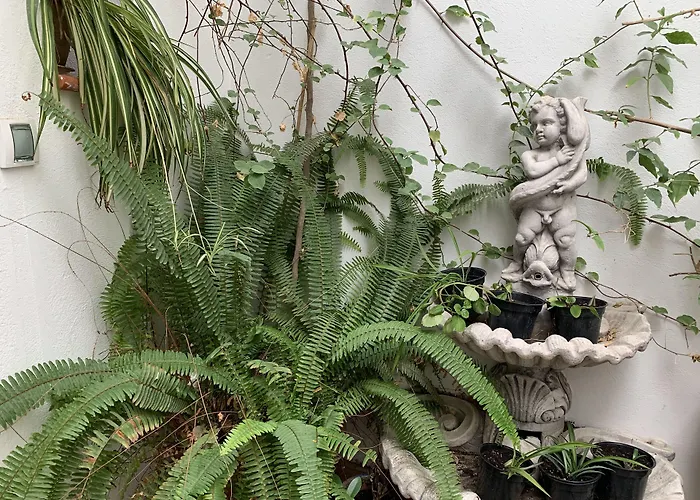 Casa Palacio La Sal Otel